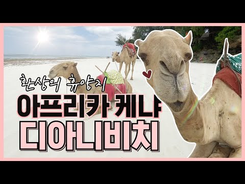 [아프리카여행] #3 환상적인 휴양지 케냐 디아니비치