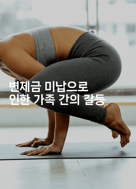 변제금 미납으로 인한 가족 간의 갈등-아프리트립