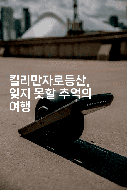 킬리만자로등산, 잊지 못할 추억의 여행-아프리트립