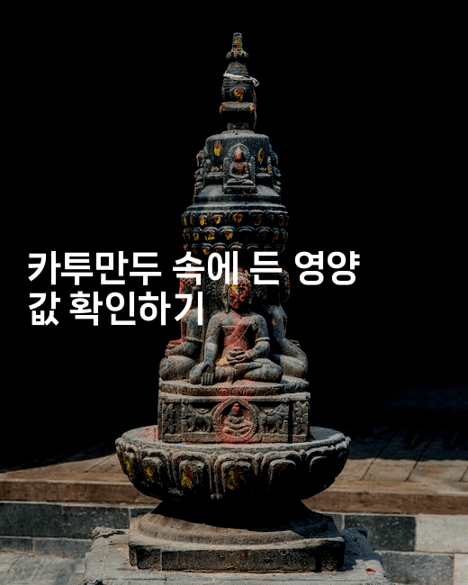 카투만두 속에 든 영양 값 확인하기-아프리트립