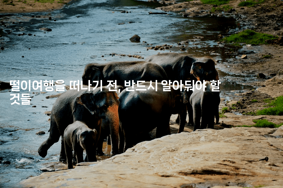 떨이여행을 떠나기 전, 반드시 알아둬야 할 것들