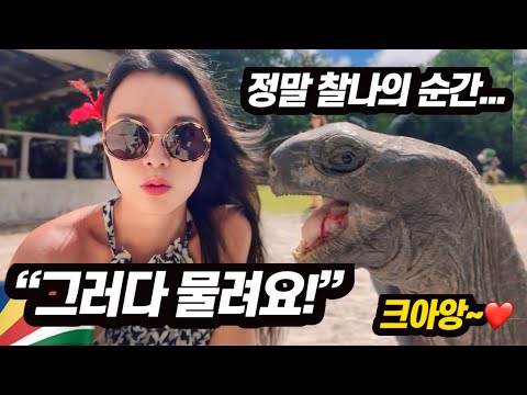 Eng sub) Seychelles Curieuse Island has more turtles than humans!