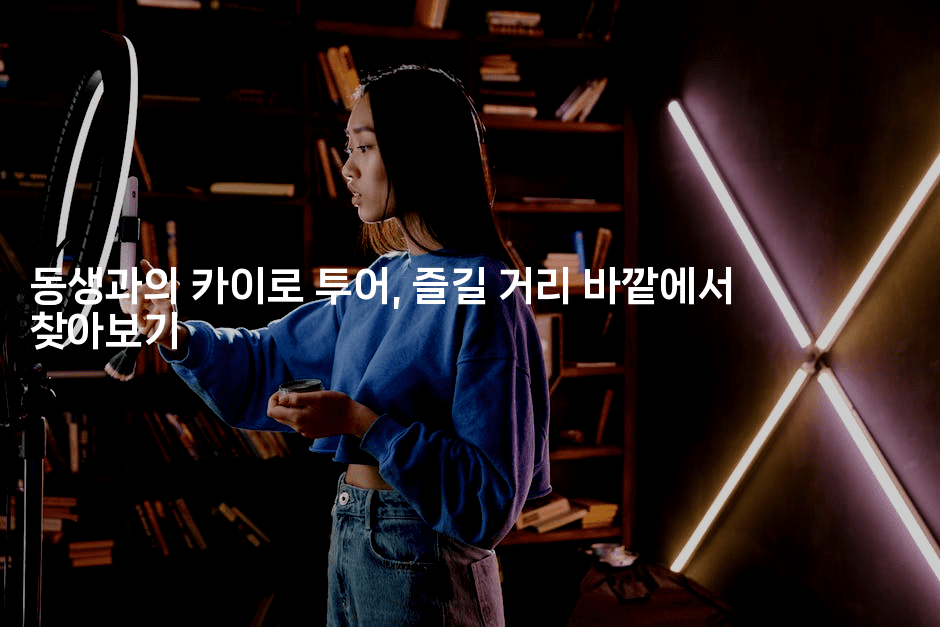 동생과의 카이로 투어, 즐길 거리 바깥에서 찾아보기2-아프리트립