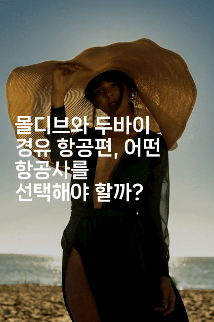 몰디브와 두바이 경유 항공편, 어떤 항공사를 선택해야 할까?2-아프리트립