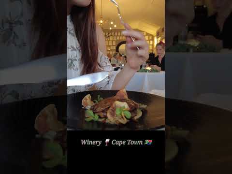 케이프타운 와인농장 Capetown winery #여행브이로그 #여행 #아프리카 #남아공 #southafrica #africa #trip #capetown