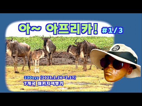 아~아프리카! 패키지여행기#1/3편(2025.1.26~2.17)